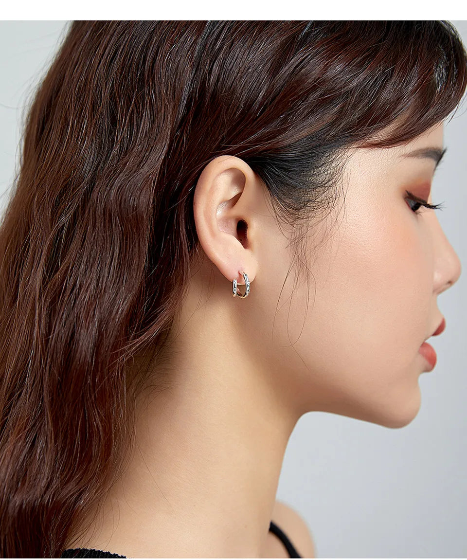 Double Loop Earrings